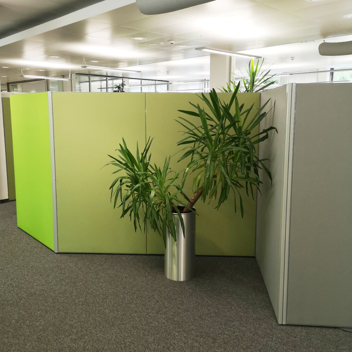 Akustisch wirksame Stellwand im Büro